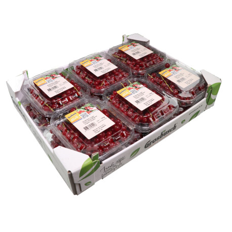 GROSEILLE ROUGE GROSBUSCH 12X125G